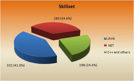 founder_international_skill_sets_pie_chart